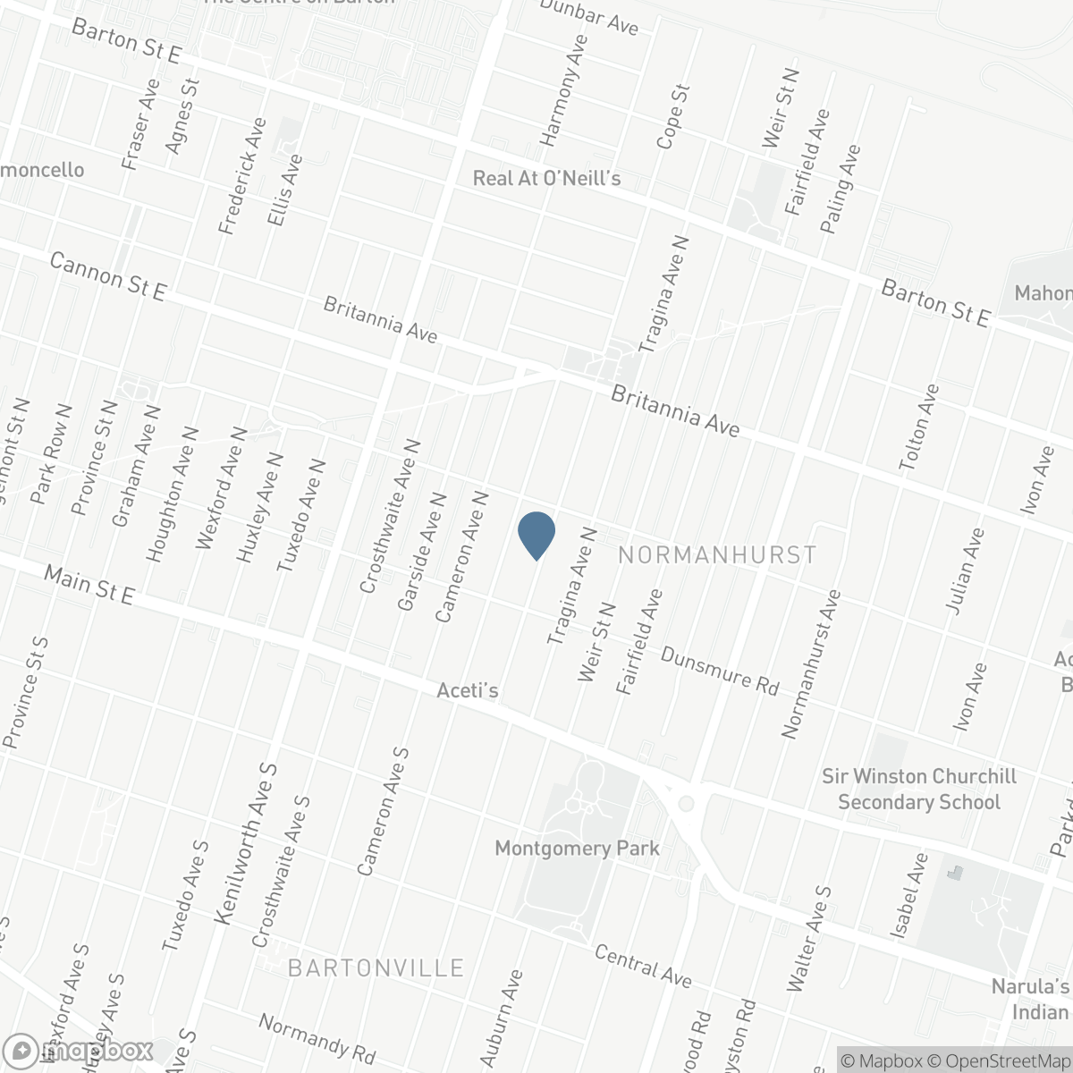101 COPE STREET, Hamilton, Ontario L8H 5B1